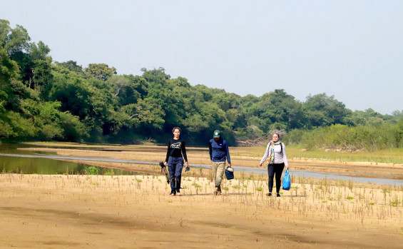 Parque Estadual do Cantão realiza monitoramento para conservação das ariranhas