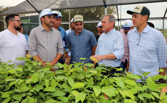 Na vanguarda do mercado voluntário internacional de carbono florestal e agenda ambiental consolidada, Governo do Tocantins leva o Estado rumo ao desenvolvimento econômico de maneira sustentável 