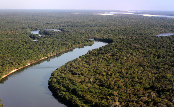 Na vanguarda do mercado voluntário internacional de carbono florestal e agenda ambiental consolidada, Governo do Tocantins leva o Estado rumo ao desenvolvimento econômico de maneira sustentável 