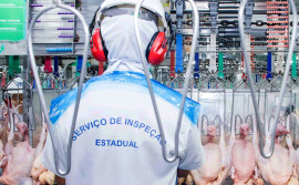 Governo do Tocantins toma medidas de precaução contra gripe aviária