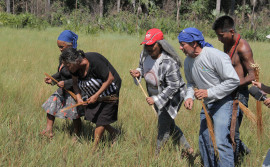 Naturatins orienta sobre fim do prazo para emissão de licença de manejo do capim-dourado e do buriti, que encerra na próxima segunda-feira, 31