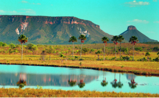 Tocantins participa de encontro da ONU para o desenvolvimento sustentável da Amazônia Legal em Santarém (PA)