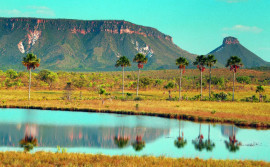 Tocantins participa de encontro da ONU para o desenvolvimento sustentável da Amazônia Legal