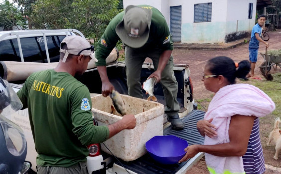 Na defesa dos recursos naturais do Estado, Governo do Tocantins executa mais de 3,9 mil ações de monitoramento e fiscalização no primeiro semestre de 2023