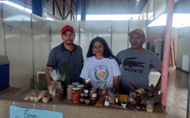 Festival da Macaúba, em Caseara, destaca potencial do associativismo e do cooperativismo no Cerrado