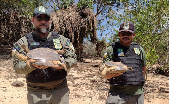 Operação Malha Fina resulta em apreensões de pescado, redes e armadilhas para captura de tartarugas e orientação quanto ao capim-dourado