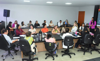 Tocantins reativa Comitê Estadual de Prevenção do Óbito Materno, Fetal e Infantil 