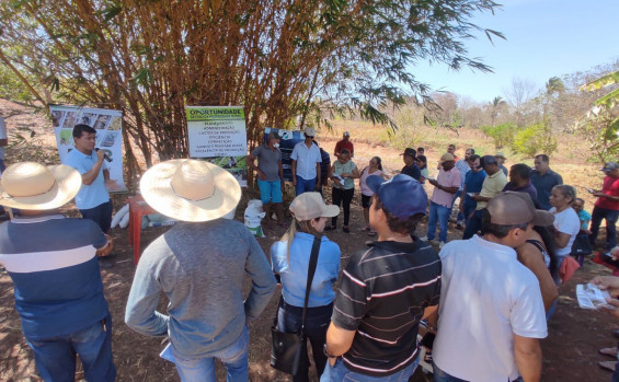 Ruraltins realiza dia de campo de piscicultura em Babaçulandia