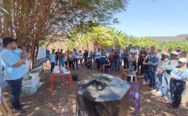 Ruraltins realiza dia de campo de piscicultura em Babaçulândia