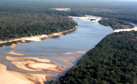 Naturatins realiza programação da Agenda Ambiental em Pium