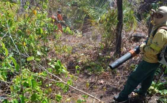 Brigadistas do Naturatins realizam combate a incêndio na APA Serra do Lajeado
