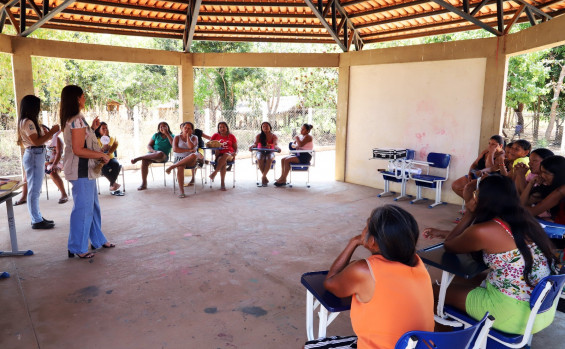 Governo do Tocantins leva orientações sobre a coleta e manejo sustentável do capim-dourado e do buriti a comunidades indígenas
