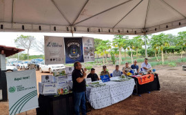 Governo do Tocantins contempla Polícia Penal com o Programa Mesa Farta para fomento da olericultura nas unidades penais