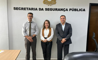 SSP e Tribunal de Justiça debatem melhorias para atendimento à mulher em situação de violência doméstica 