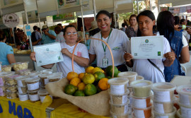 Programas Nacional e Estadual de Compra Direta somam cerca de R$ 11 milhões para investimento na agricultura familiar
