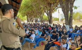 Operação Shamar: Em dez dias de atuação, 24 pessoas foram presas em flagrante delito de violência doméstica