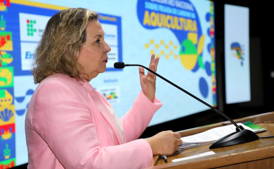 Governo do Tocantins realiza encontro sobre pegada de carbono na pesca com secretária Nacional de Aquicultura