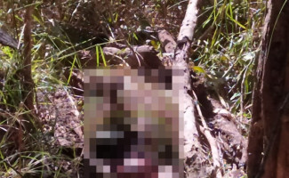 Em menos de 48 horas, Polícia Civil desvenda homicídio e prende principal suspeito pelo crime em Formoso do Araguaia 