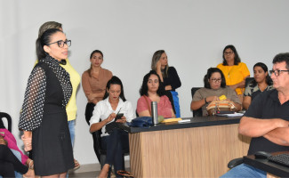 SES-TO realiza reunião de alinhamento da rede de atendimento psicossocial