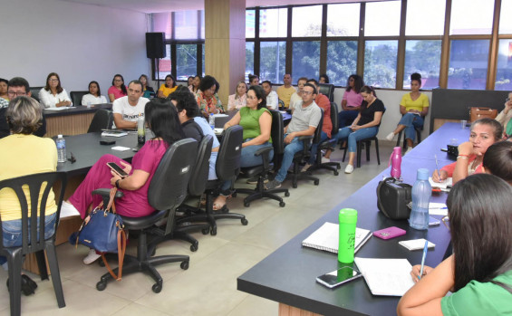 SES-TO realiza reunião de alinhamento da rede de atendimento psicossocial