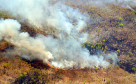 Com ações do Governo do Tocantins, Estado reduz em 50% número de focos de calor no mês de agosto