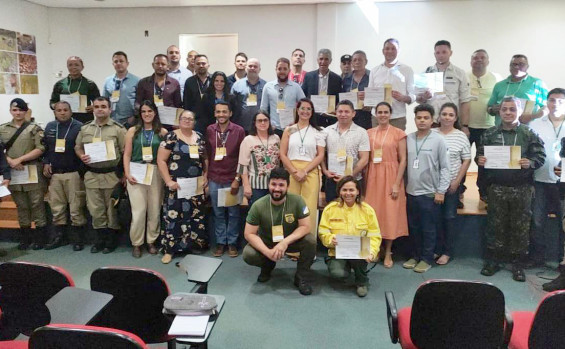 Governo do Tocantins realiza oficina sobre fiscalização do capim-dourado e buriti