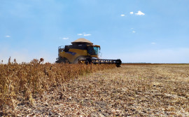 Prazo para colheita de soja nas planícies tropicais será encerrado no dia 20 de setembro