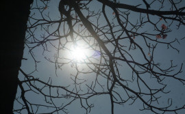 Núcleo de Meteorologia da Unitins orienta sobre cuidados com as altas temperaturas no Estado