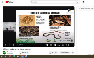 SES-TO alerta sobre acidentes por serpentes no Estado do Tocantins