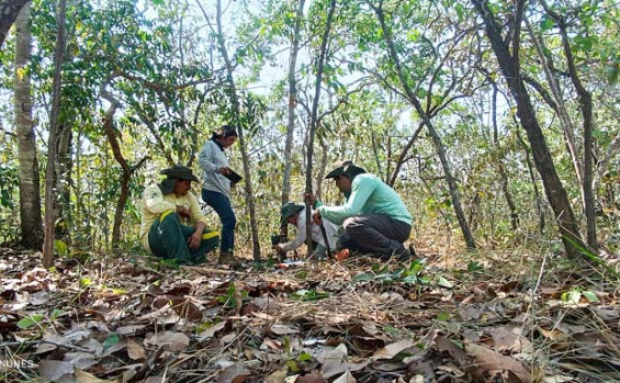 Fauna do Parque Estadual do Lajeado conta com programa de monitoramento