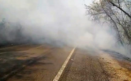Governo do Tocantins alerta sobre queimadas em rodovias que colocam em risco a segurança de motoristas