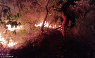 Força-tarefa do CBMTO e Defesa Civil Estadual controla incêndio em Paranã