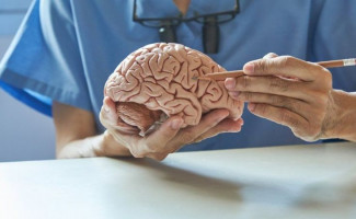 No Dia Nacional de Conscientização da Doença Alzheimer, SES-TO alerta a população