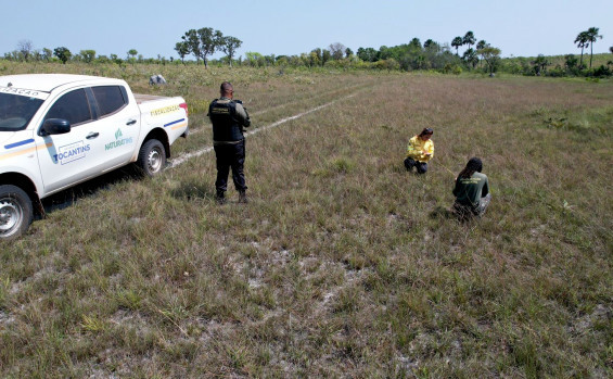 Governo do Tocantins intensifica ações de fiscalização nos campos de capim-dourado