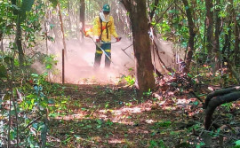 Naturatins finaliza trilhas de monitoramento do Parque Estadual do Cantão nesta quarta-feira, 27