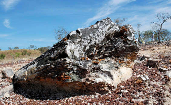 Governo do Tocantins celebra os 23 anos do Monumento Natural das Árvores Fossilizadas do Estado