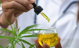 SES-TO institui grupo de assessoramento técnico para o fornecimento de medicamentos à base de canabidiol  