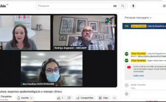 Febre maculosa é tema de webinário para profissionais de saúde 