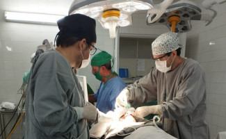 O Hospital Regional de Gurupi oferta serviços odontológicos