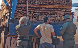 Em operação para coibir crimes ambientais, Naturatins apreende mais de 146 metros cúbicos de madeira