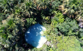 Governo do Tocantins disponibiliza questionário de Avaliação Qualitativa do ICMS Ecológico ano-base 2024 para municípios tocantinenses