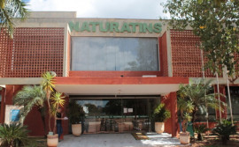 Governo do Tocantins institui comissão organizadora do concurso do Naturatins