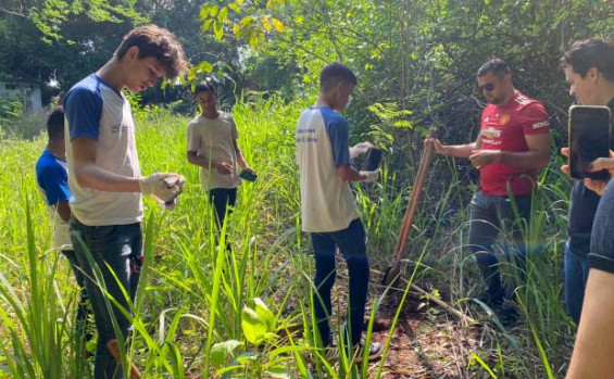 Comitês de Bacias Hidrográficas do Tocantins coletam cerca de 10 toneladas de sementes do Cerrado para produção de mudas