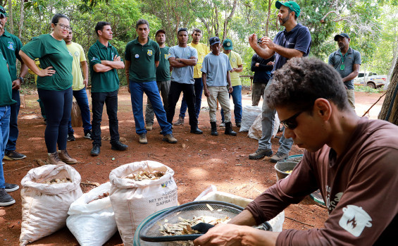 Brigadistas do Naturatins participam de curso sobre coleta de sementes nativas do Cerrado