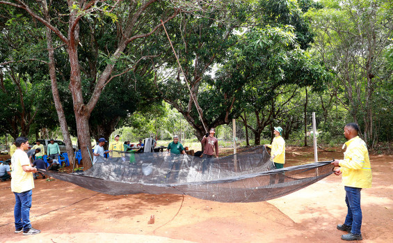 Brigadistas do Naturatins participam de curso sobre coleta de sementes nativas do Cerrado