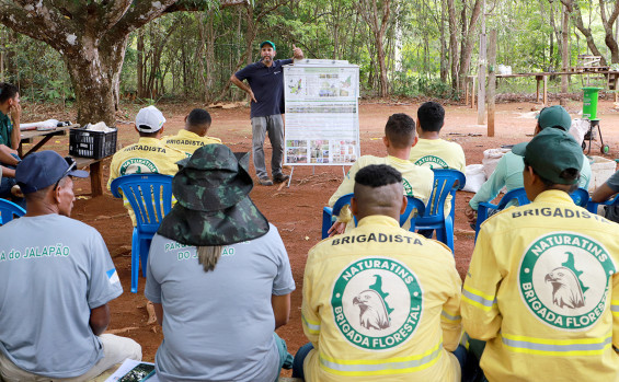 Brigadistas do Naturatins participam de curso sobre coleta de sementes nativas do Cerrado