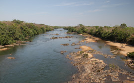 Comitê da Bacia Hidrográfica do Rio Manuel Alves promove capacitação sobre recuperação de áreas degradadas