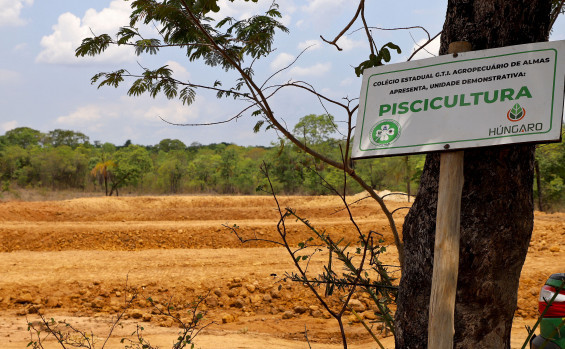Governador Wanderlei Barbosa visita Colégio Agropecuário de Almas e projeta obras de melhorias na unidade