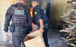 No Sul do Estado, Polícia Civil incinera mais de 60 kg de substâncias entorpecentes 