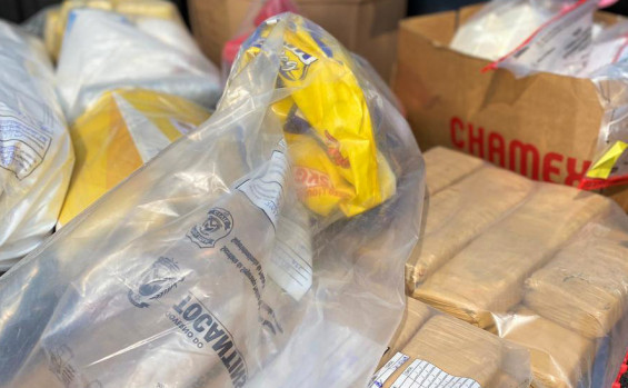 No sul do Estado, Polícia Civil incinera mais de 60 kg de substâncias entorpecentes 